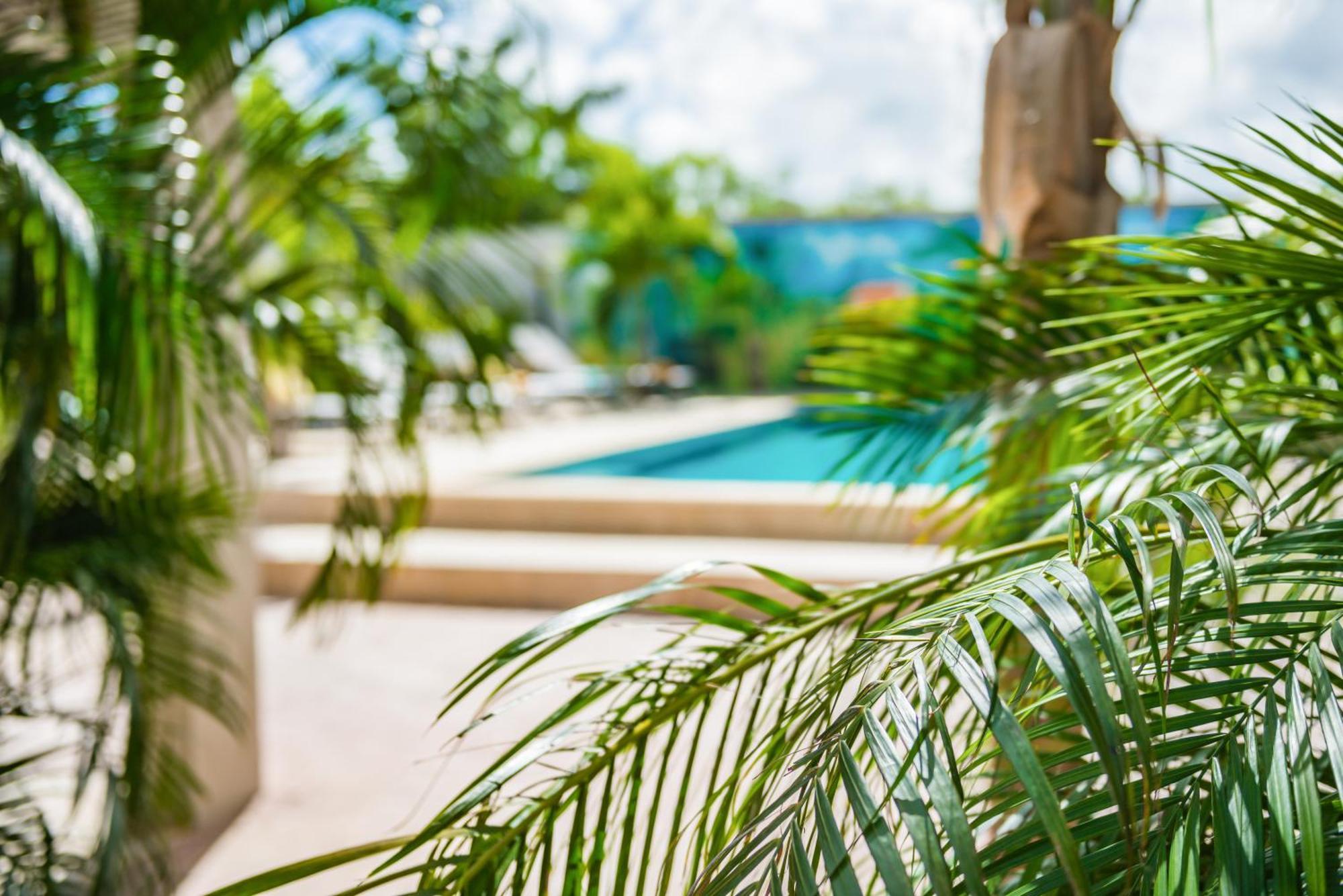 Casita Palma Boutique Resort Playa Exterior foto